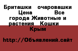 Бриташки - очаровашки.  › Цена ­ 3 000 - Все города Животные и растения » Кошки   . Крым